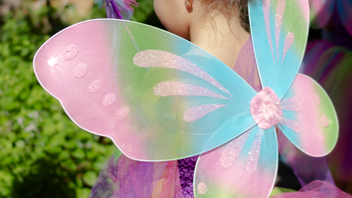 Child with fairy wings