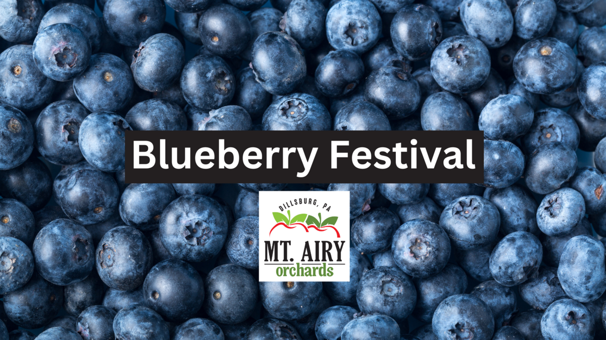 Blueberries