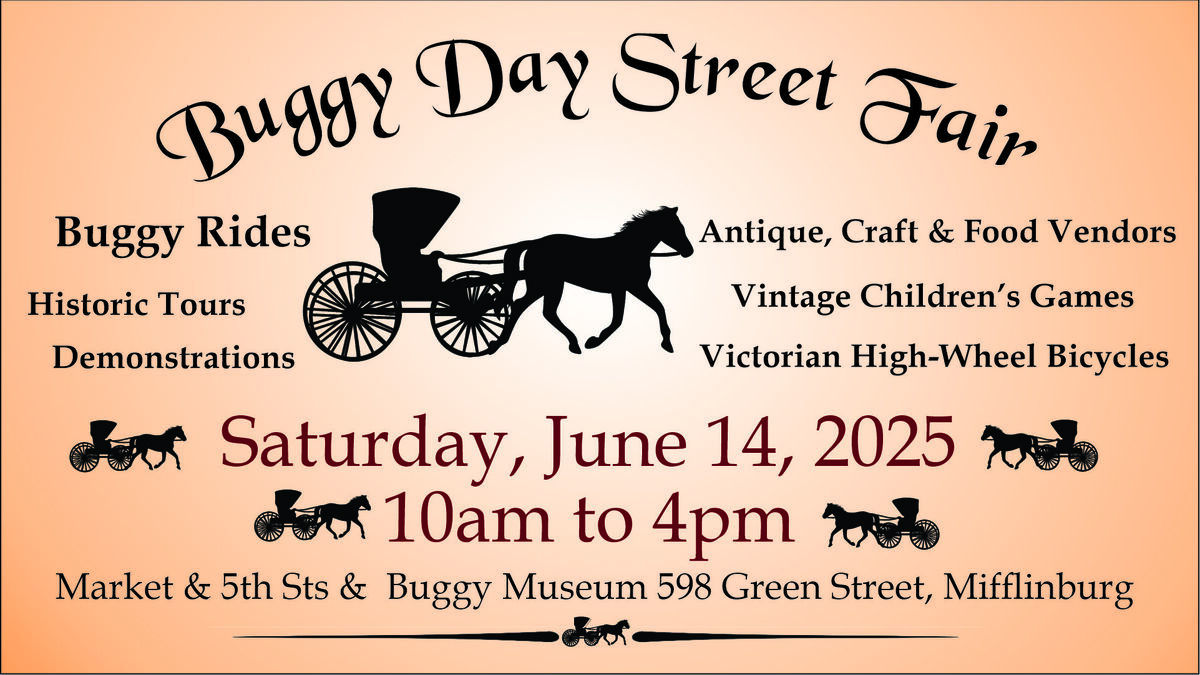 Buggy Day Street Festval