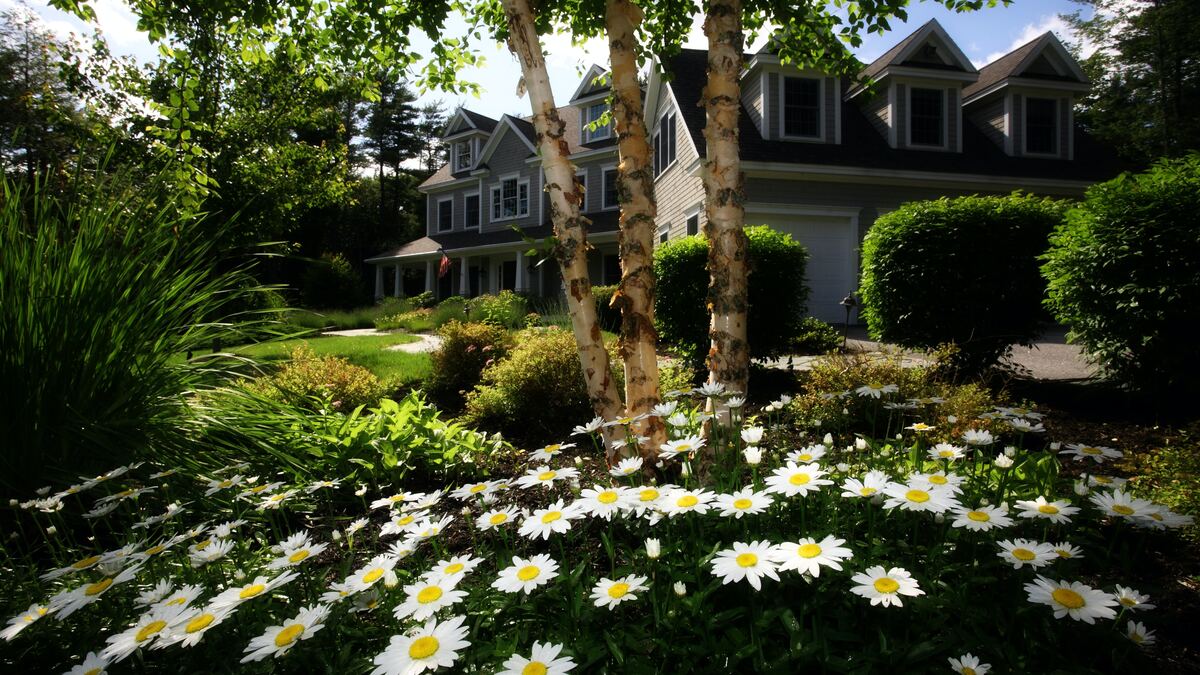 a beautifully manicured home and garden